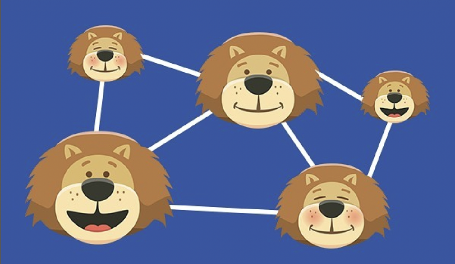 A network of lions