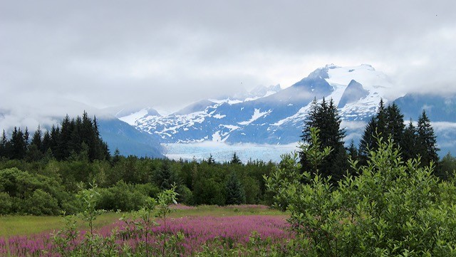 Discover Southeast Alaska | June 21 - 28, 2024 Discover Southeast Alaska | June 21 - 28, 2024