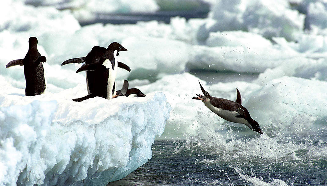 Expedition to Antarctica | February 13 - 26, 2024 Expedition to Antarctica | February 13 - 26, 2024