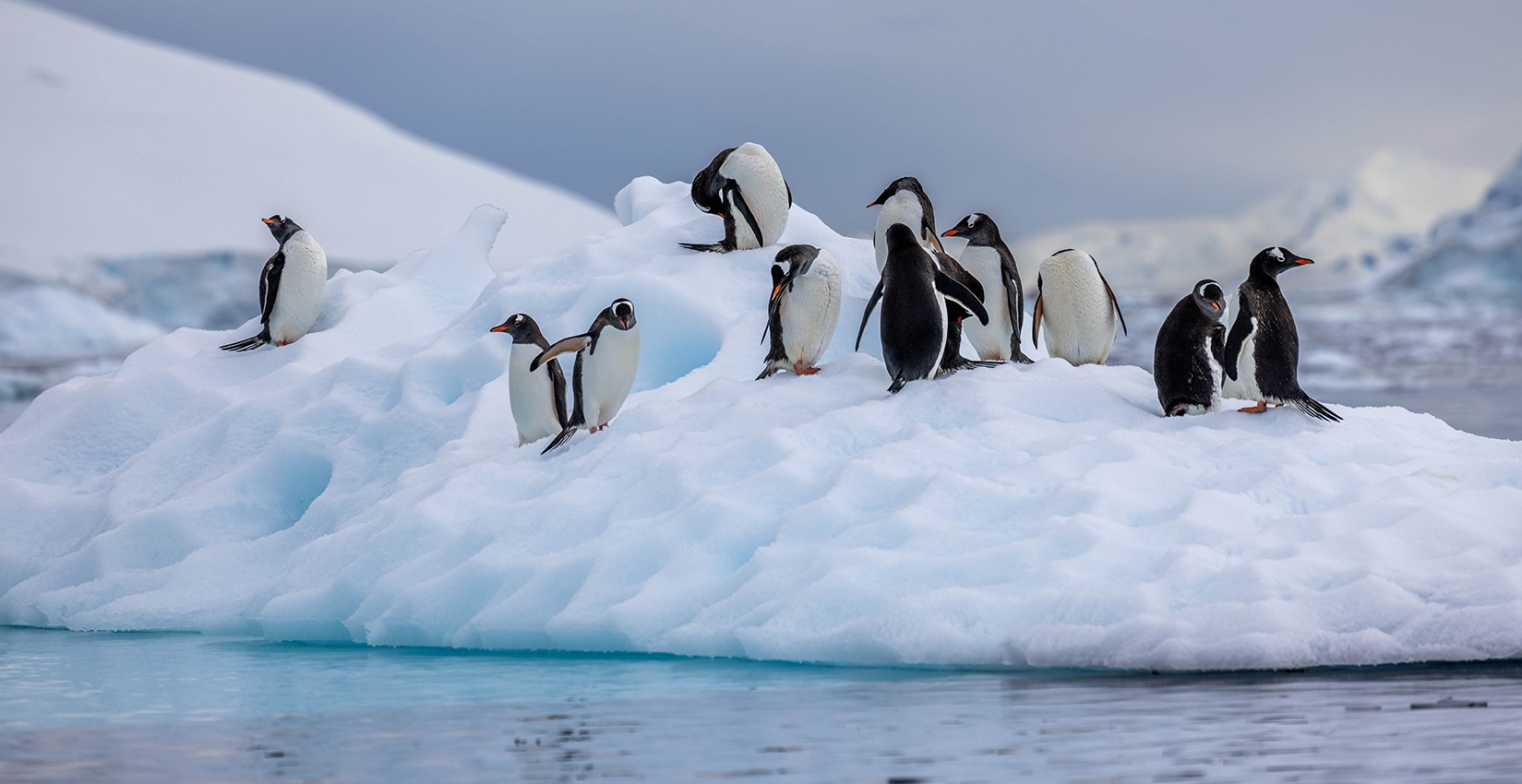 Expedition to Antarctica | January 11 - 24, 2026 Expedition to Antarctica | January 11 - 24, 2026