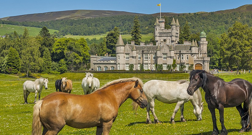 British and Emerald Isles Journey | May 11 - 26, 2025ravel with alumni and friends from May 11 to 26, 2025 on a comprehensive 14-night itinerary exploring the best of the United Kingdom and Ireland. Immerse yourselves in incredible destinations—from lush landscapes in Tresco and Wales to the windswept archaeological sites of the Scottish isles; from the warm, gregarious city of Dublin to the breathtaking natural beauty of the Lake District. British and Emerald Isles Journey | May 11 - 26, 2025