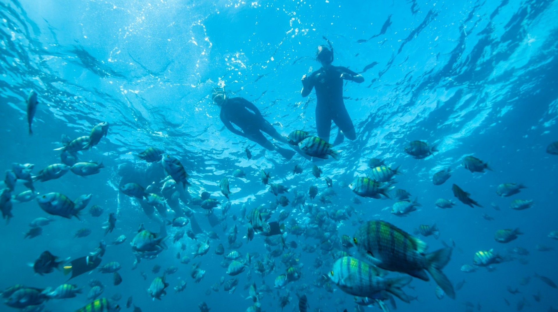 The Galapagos Islands Cruise | June 18 - 25, 2024 The Galapagos Islands Cruise | October 11 - 18, 2025