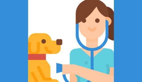 Drawing of vet looking after yellow dog.