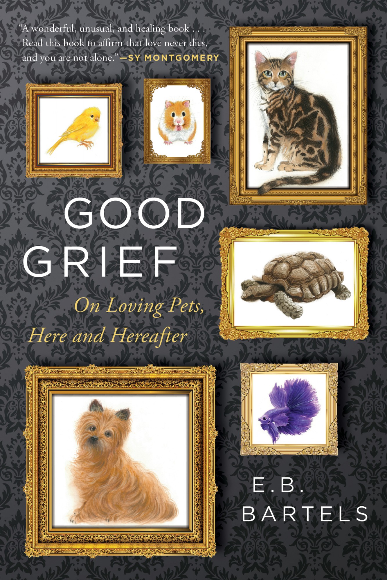 Book Cover