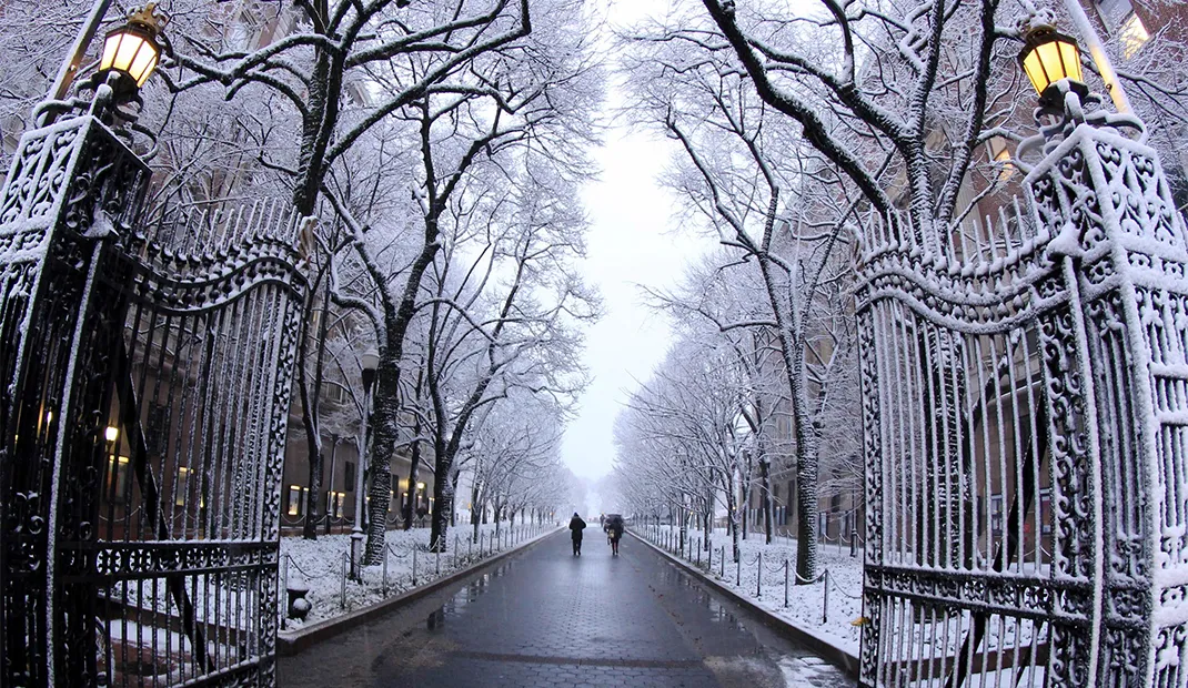 College Walk