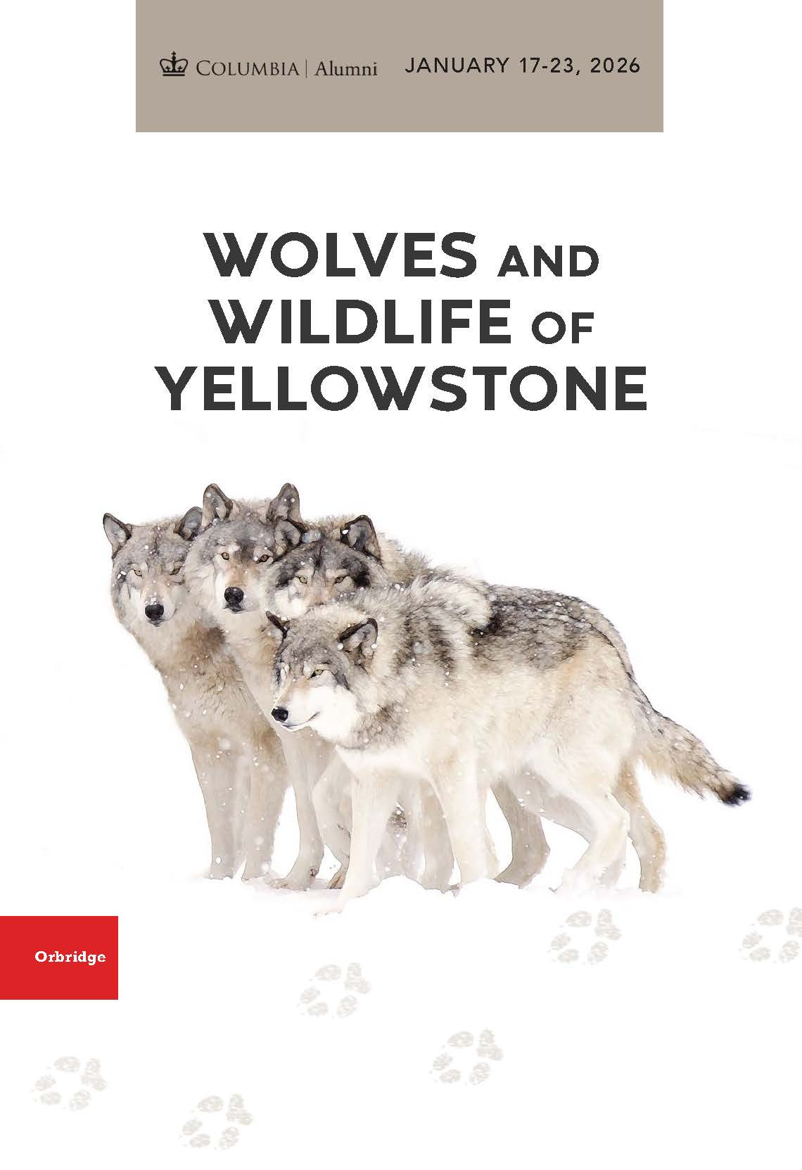 Please Click for E-Brochure (PDF)