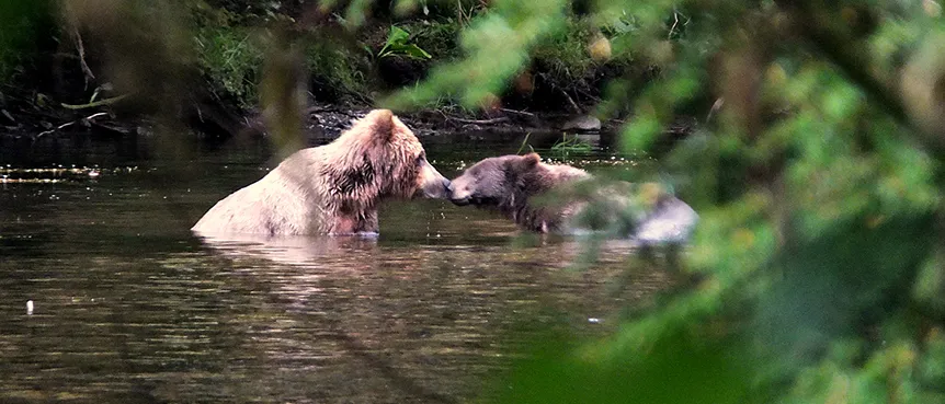 Alaska