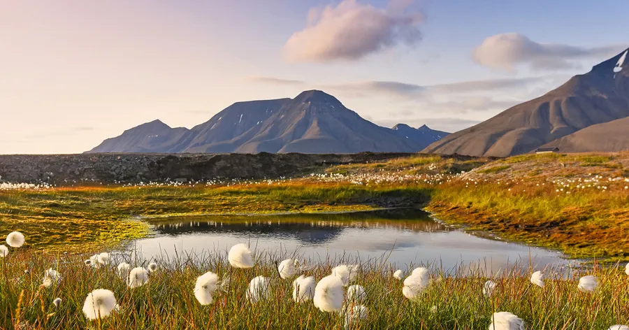 Arctic Circle Cruise | August 14 - 25, 2027