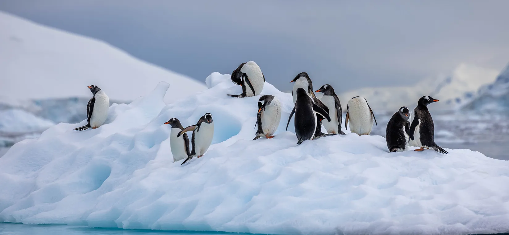 Antarctica Discovery 2027