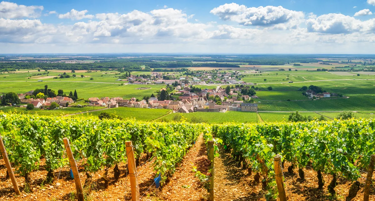 Golfing in Southern France | September 20 -  28, 2023 