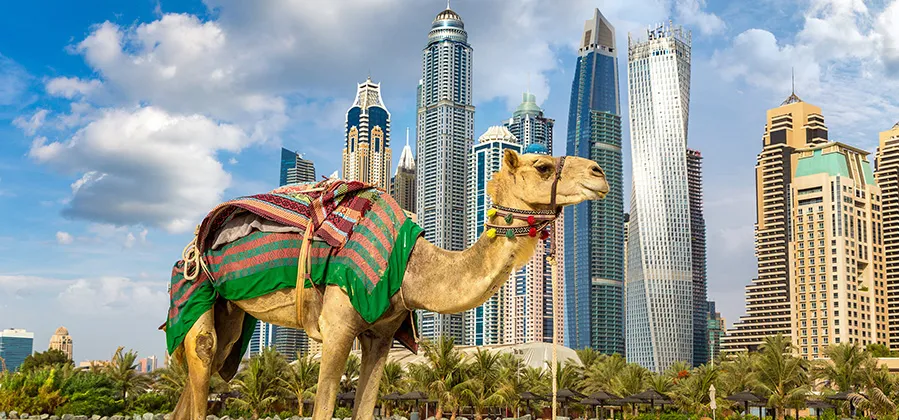Oman to Dubao