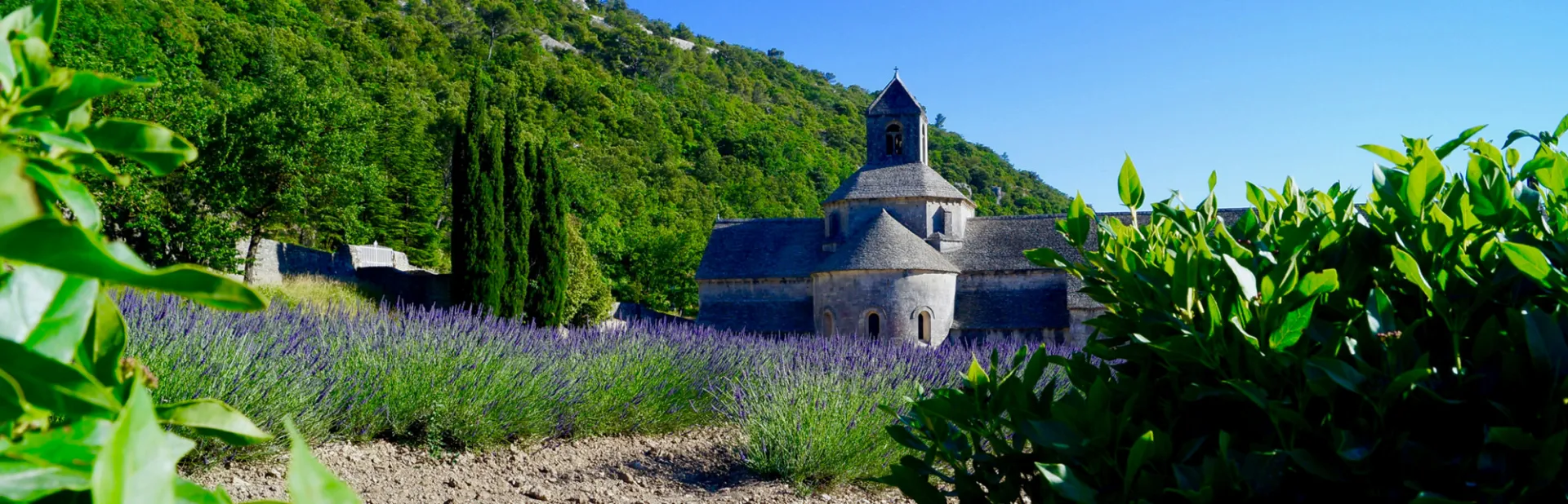 Flavors of Provence | October 22 - 30, 2027