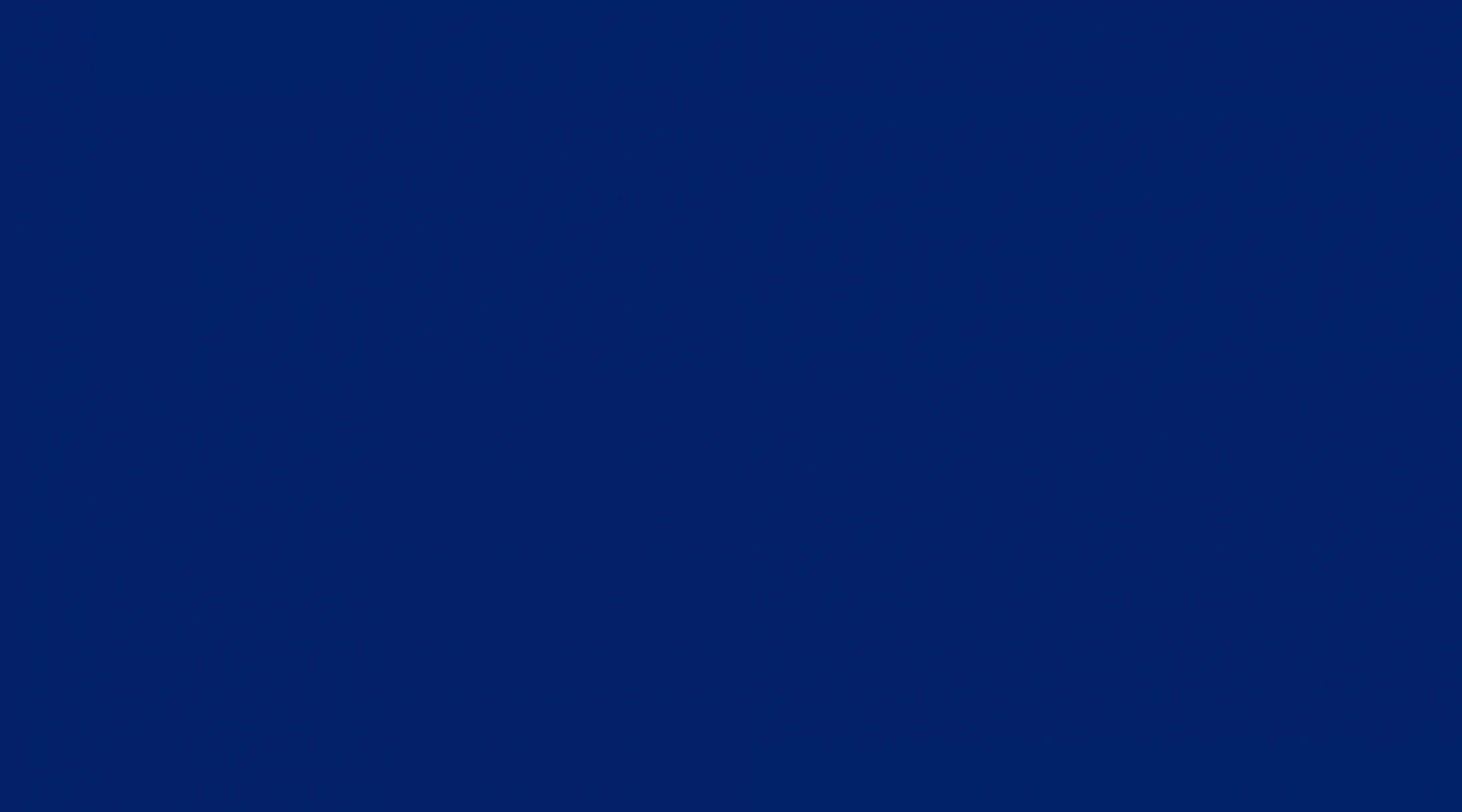 HEX #022169/PMS 280