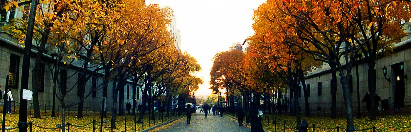 Tree-lined campus walkway with autumn foliage and people walking along a cobblestone path.